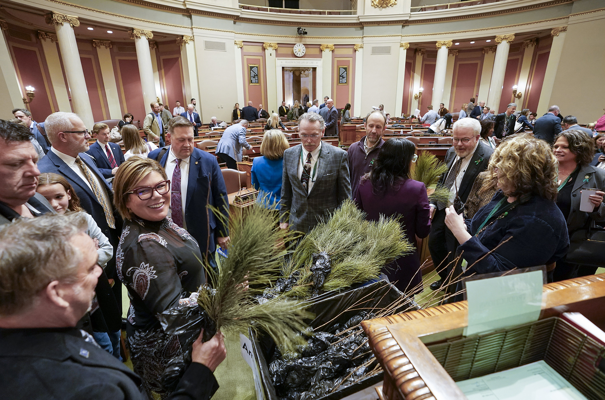 It was a “tree-for-all” as some 200 saplings were distributed to House members and staff following Thursday's floor session in recognition of Friday’s Arbor Day. White pine, red pine, American Plum and white oak saplings were available. (Photo by Michele Jokinen)  